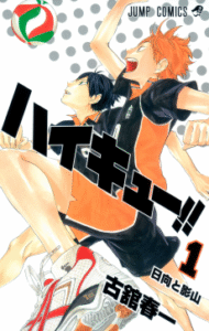 Haikyuu!! [Manga]