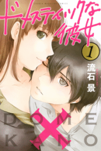 Domestic na Kanojo [Manga]