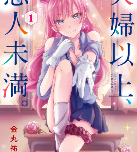 More Than a Married Couple, but Not Lovers. Manga